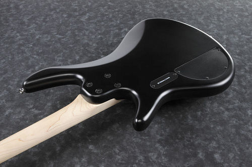IBANEZ SRMD200-BKF Бас-гитара