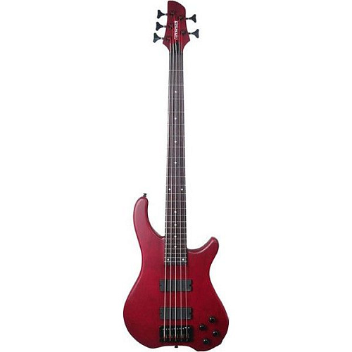 Fernandes T5D(06)WRS Бас-гитара, 5-струнная