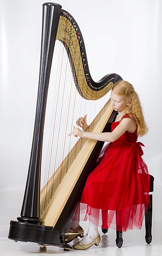 RHC21004 Арфа, 40 струн, прямая дека, отделка цвет-Эбен, Resonance Harps
