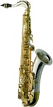 :Yanagisawa T-WO33 -