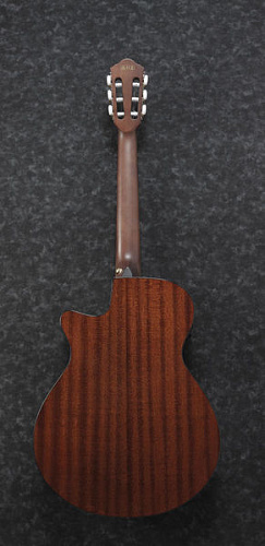 IBANEZ AEG50N-BKH Электроакустическая гитара с нейлоновыми струнами