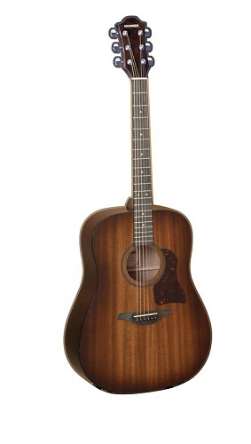 Hohner CD-65SB CHORUS Акустическая гитара