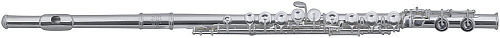 Roy Benson FL-602E Флейта поперечная