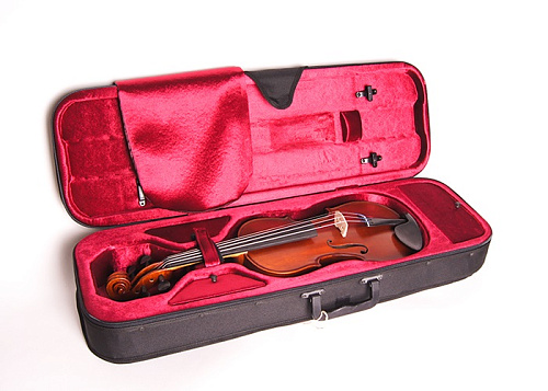 Gliga S-V044-Set Student Genial 1 Oil Скрипка 4/4 с чехлом