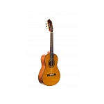 :Barcelona CG35   1/2