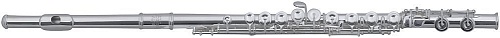 Roy Benson FL-602RI флейта