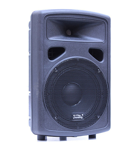 Soundking FP0210 Пассивная акустическая система, 200 Вт