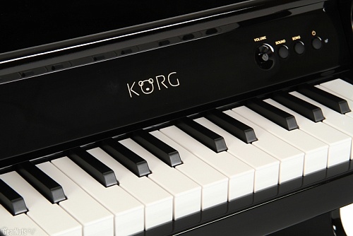 KORG TINYPIANO BK Детское пианино, 25 клавиш