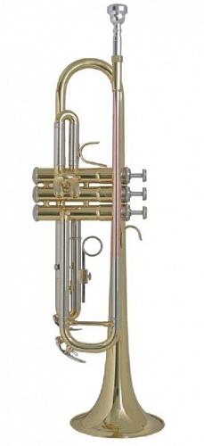 Vincent Bach TR-655 Труба "Bb"
