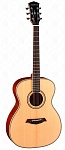 Фото:Parkwood P620 Акустическая гитара, с футляром