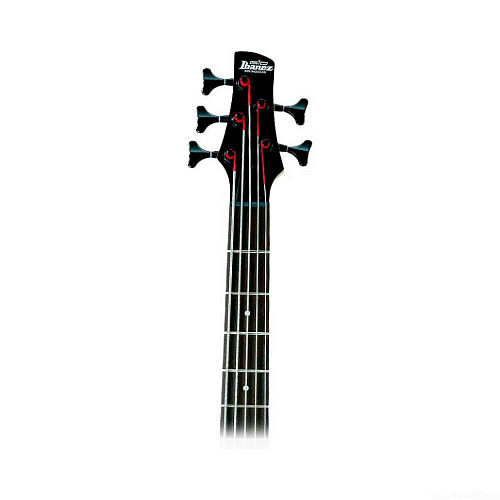 IBANEZ GIO GSR205B-WNF WALNUT FLAT 5-струнная бас-гитара
