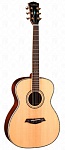 Фото:Parkwood P820 Акустическая гитара, с футляром