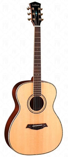 Parkwood P820 Акустическая гитара, с футляром