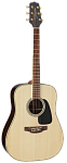 :TAKAMINE G50 SERIES GD51-NAT  