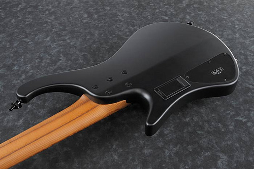 IBANEZ EHB1005-BKF 5-ти струнная бас-гитара, в комплекте чехол