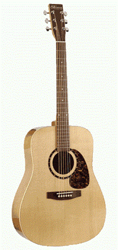 Norman ENCORE B20 Комплект: акустическая гитара, кейс