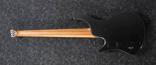 IBANEZ EHB1005-BKF 5-ти струнная бас-гитара, в комплекте чехол