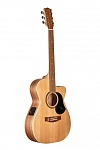 :Maton PERFORMER  