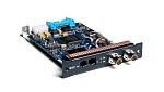 :AVID VENUE MADI OPTION CARD   MADI, 64 