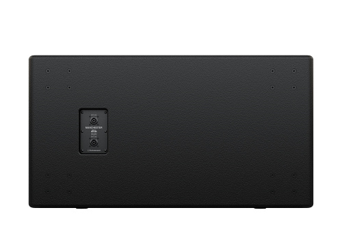 Turbosound MS218 Пассивный сабвуфер