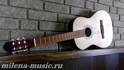 MiLena-Music ML-A2-Nop(s/n) Акустическая гитара