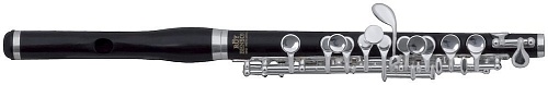 Roy Benson PC-602 флейта Piccolo