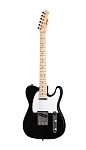 :Homage HEG350BK  Telecaster S