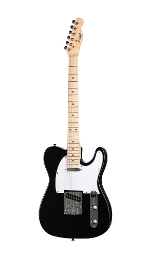 Homage HEG350BK Электрогитара Telecaster SS