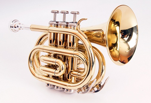 Conductor FLT-PT-L Труба компактная, Bb-key, лакированная, цвет - золото.