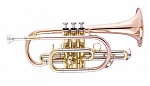 Фото:John Packer JP171L MKII (SW) Корнет Bb, лакированное золото