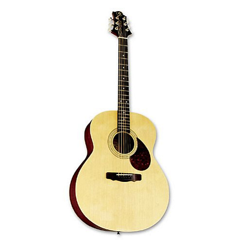 GregBennett GJ100S/N   акустическая гитара