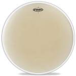 :Evans EST21 Strata    21"