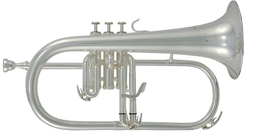 Roy Benson FH-302S Bb флюгельгорн (цвет серебро)