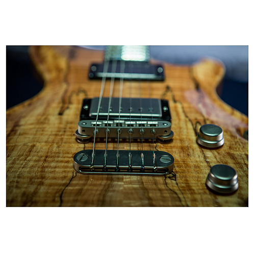 Dean USA Hardtail SPM Exotic spalted Электрогитара