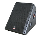Фото:Leem WX-15M 2-х полосный пассивный монитор, 300/600/1200 Вт