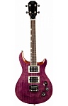 :Flight Vanguard Tenor TPP , PRS, , 