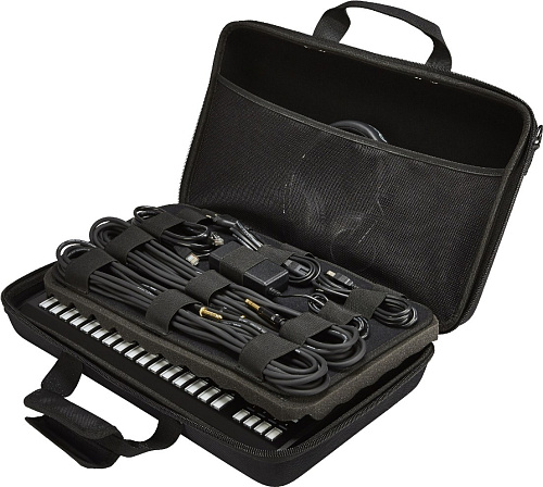PIONEER DJC-TSP16 BAG Сумка для TSP-16