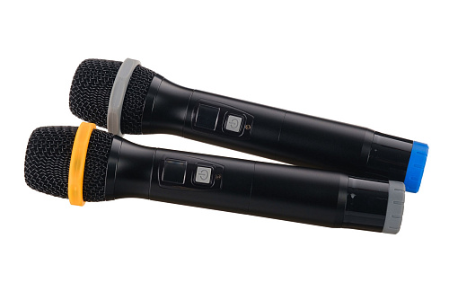 LAudio LS-Q2-2M Беспроводная микрофонная система, 2 ручных передатчика