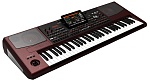 :Korg PA1000   , 61 