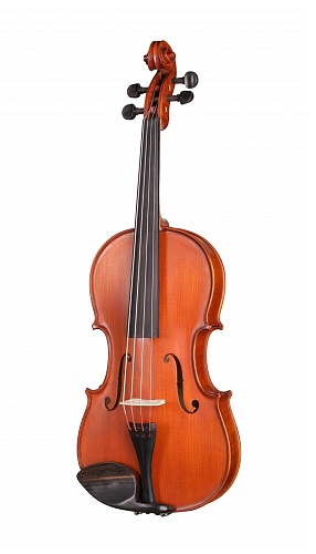 Gliga S-V155 Student Genial 1 Oil Альт