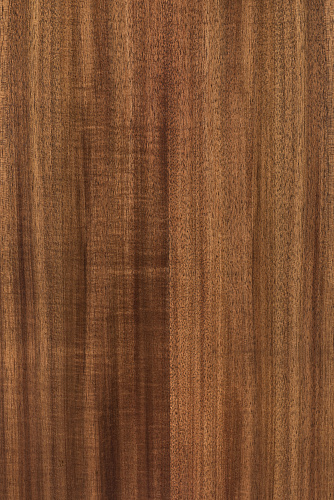 Maton EBW70C Электроакустическая гитара