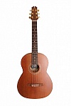 Фото:NewTone N17GASDB  Акустическая гитара