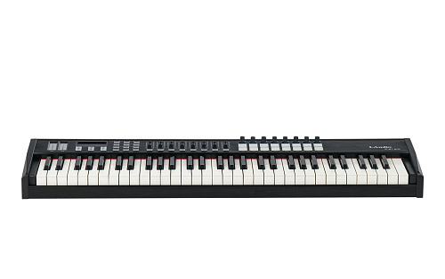 LAudio P-61-PRO MIDI-контроллер, 61 клавиша