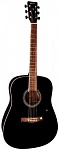 :TENSON D10 Dreadnought Black  