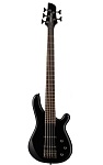 Фото:Fernandes G5X08 BLK Бас-гитара Gravity 5X, 5-струнная, цвет черный