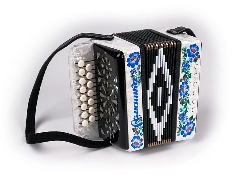 Шуйская гармонь S20XL-C-WH Гармонь "Ромашка" 15х12-I, белая, палехская роспись