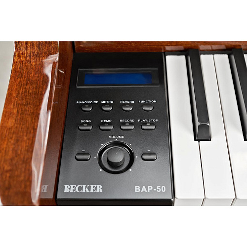 Becker BAP-50N Цифровое пианино