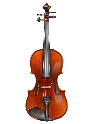 Andrew Fuchs L-4 4/4 Скрипичный комплект: скрипка, кейс, смычок, мостик, канифоль, размер 4/4