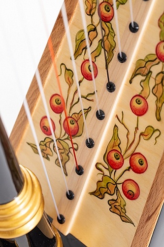 Resonance Harps MLH0014 Capris Арфа 21 струнная (A4-G1), цвет черный глянцевый