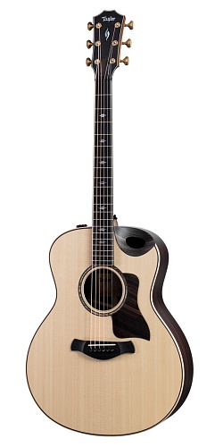 Taylor 816ce Builders Edition  